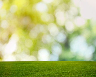 Image of Beautiful lawn with green grass on sunny day. Bokeh effect