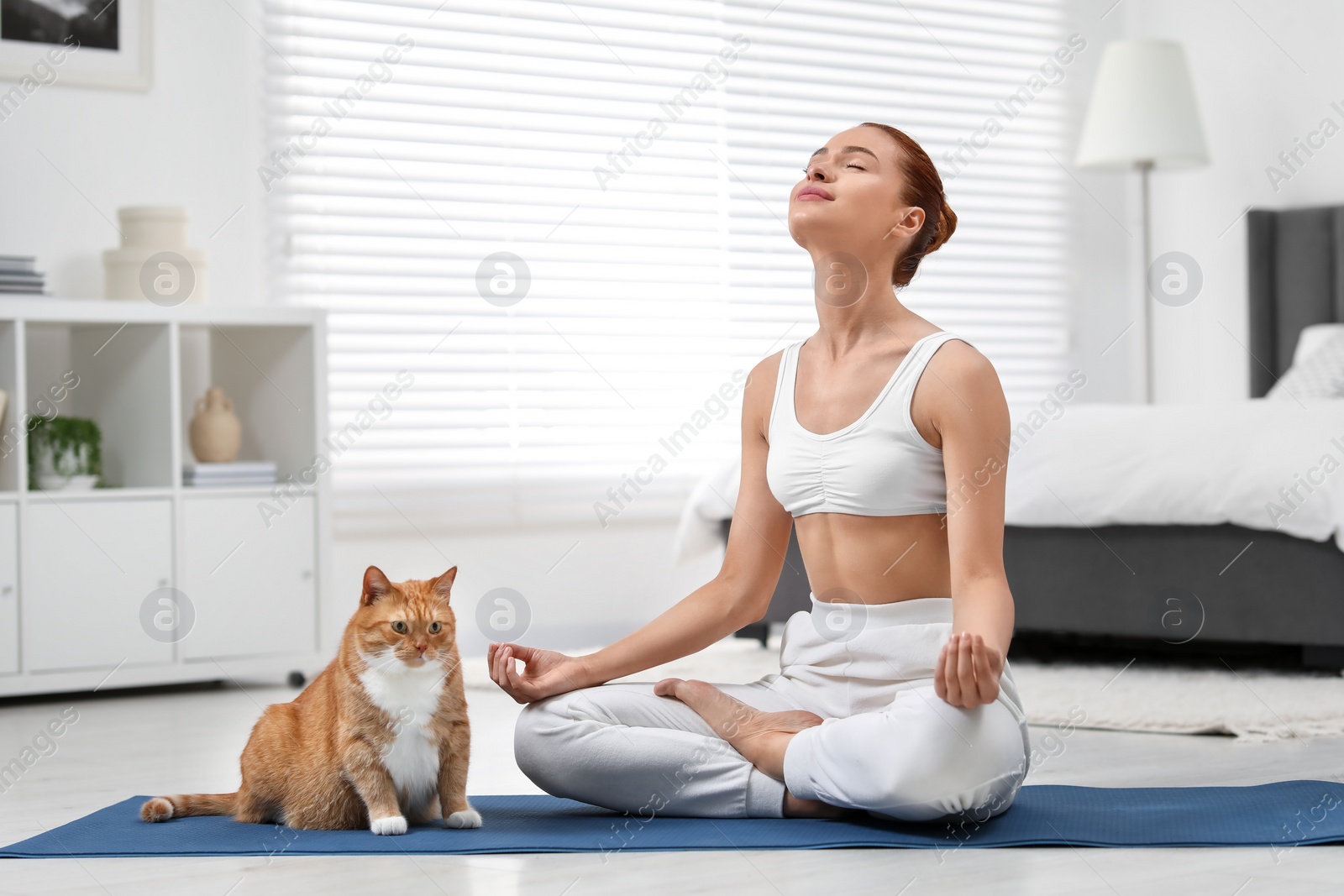 Photo of Beautiful woman with cute red cat practicing yoga on mat at home