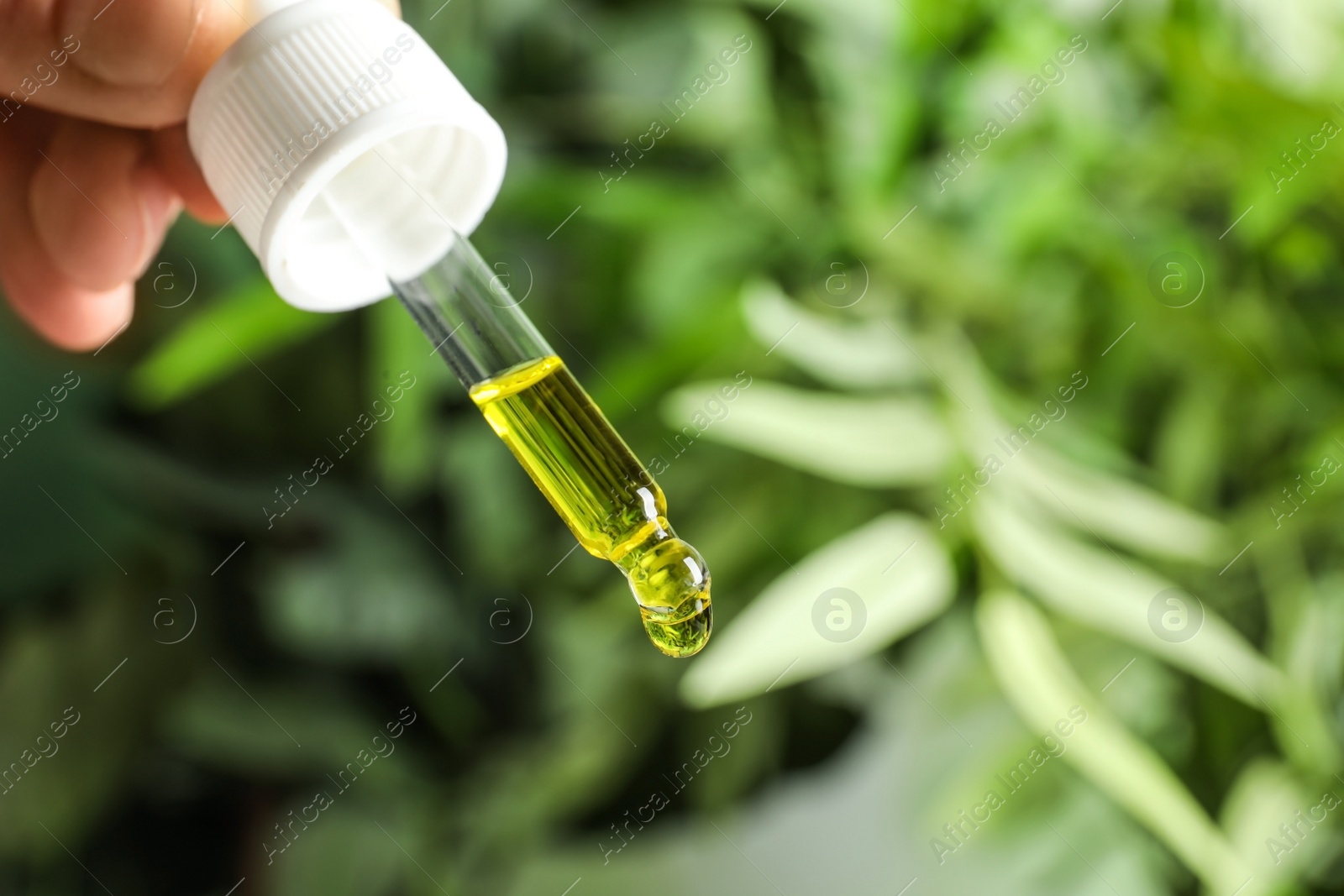 Photo of Woman holding pipette with oil on blurred background. Space for text