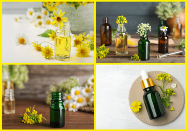 Collage of different photos with essential oils and flowers