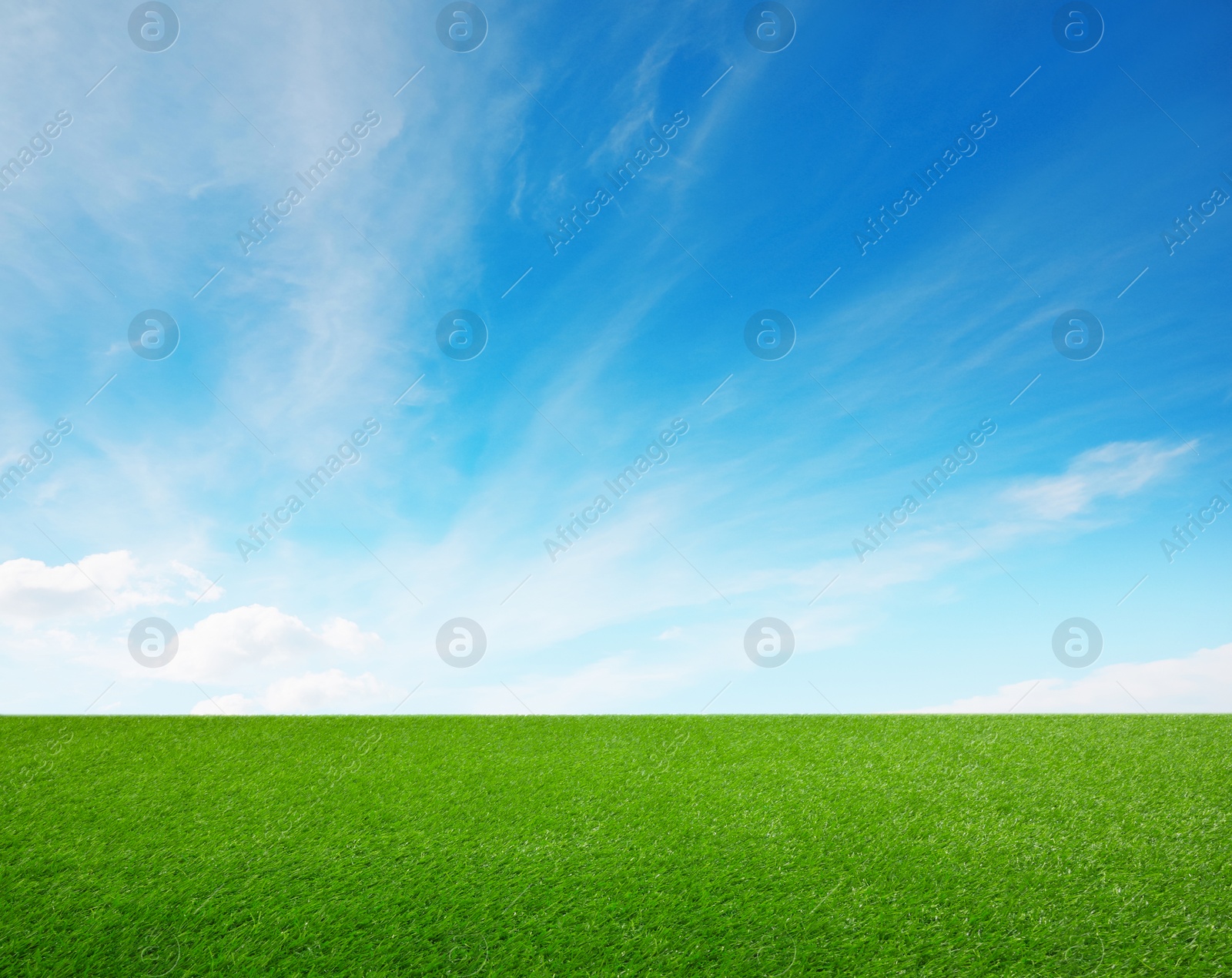 Image of Green grass under blue sky with clouds