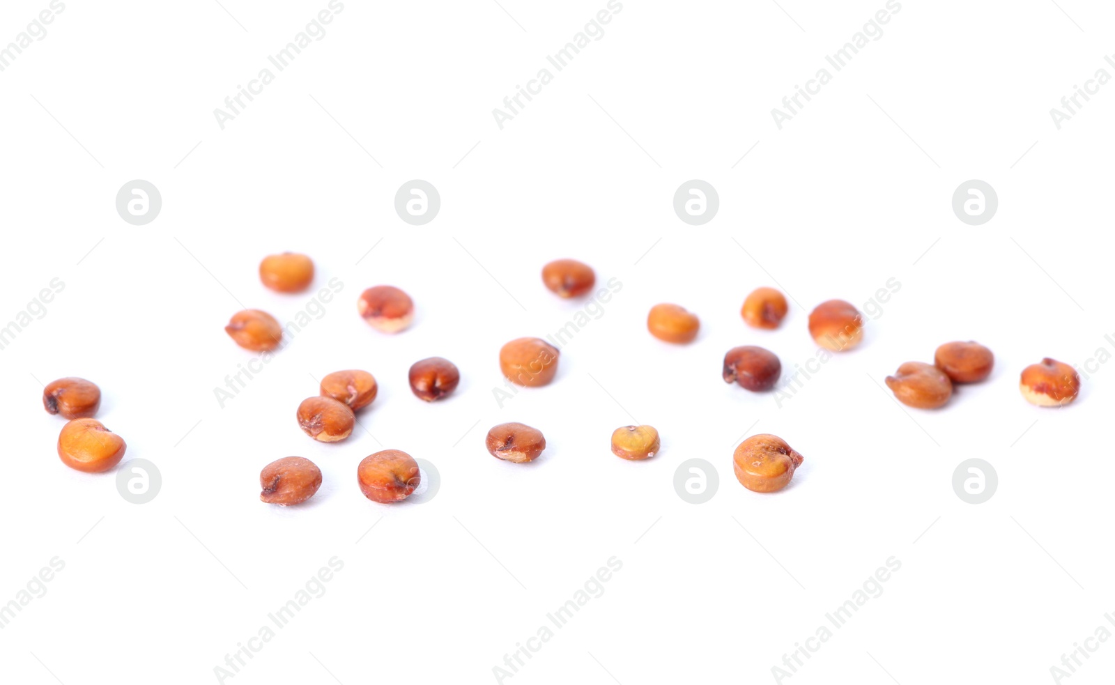 Photo of Raw red quinoa seeds on white background