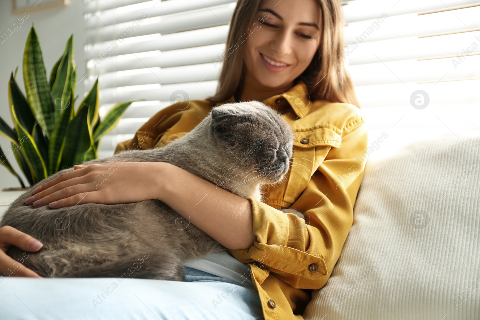 Photo of Young woman with cute cat at home. Fluffy pet