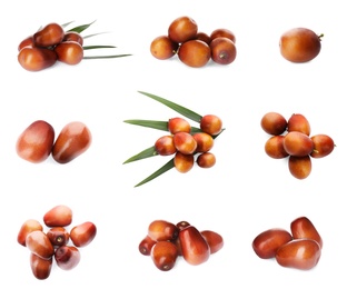 Image of Set with fresh ripe palm oil fruits on white background 