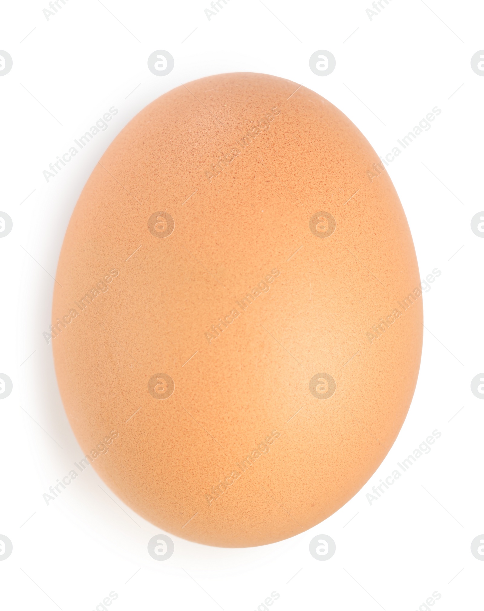 Photo of One raw chicken egg isolated on white, top view