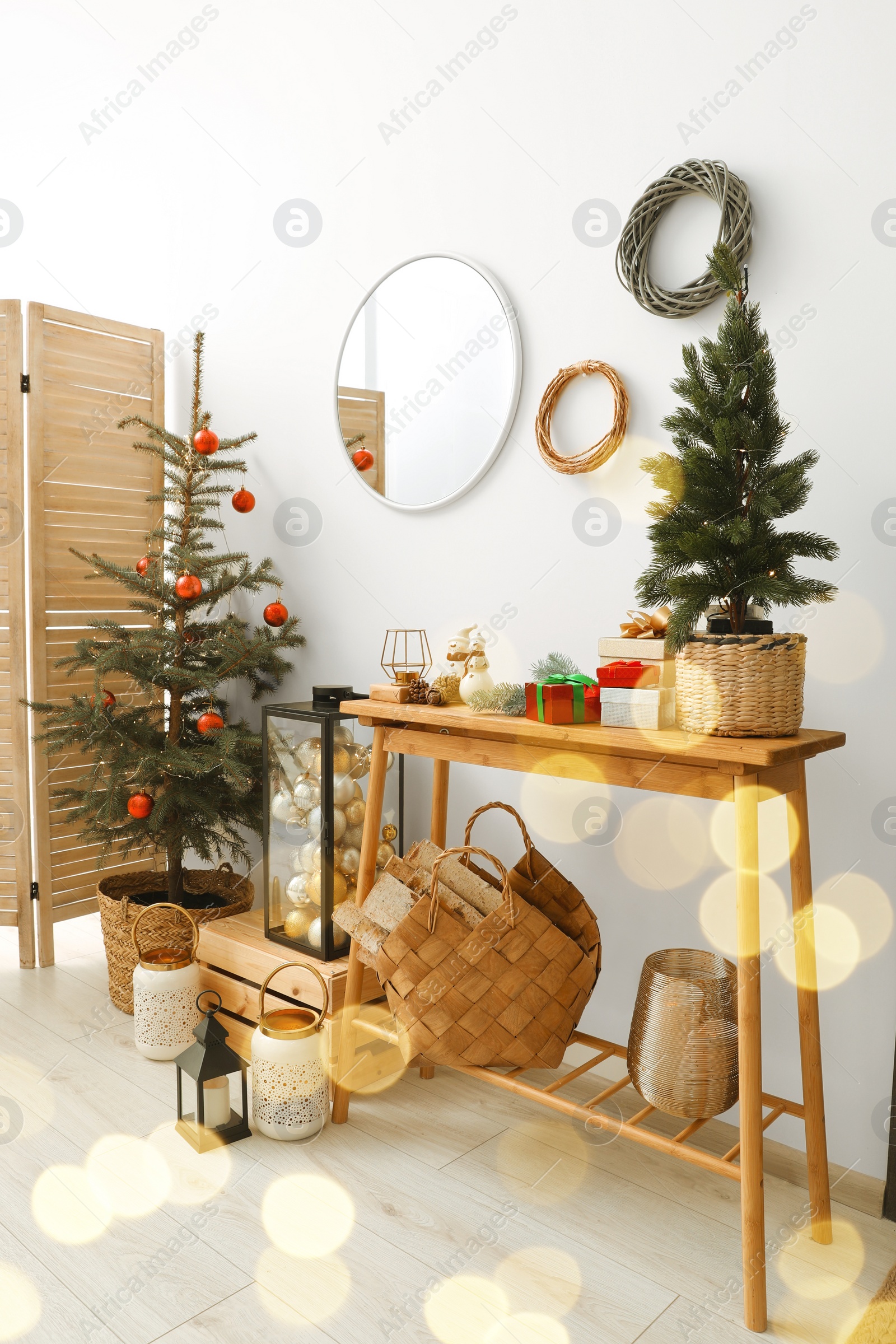 Photo of Christmas trees and different festive decor indoors