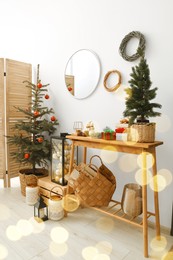 Photo of Christmas trees and different festive decor indoors