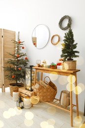 Christmas trees and different festive decor indoors