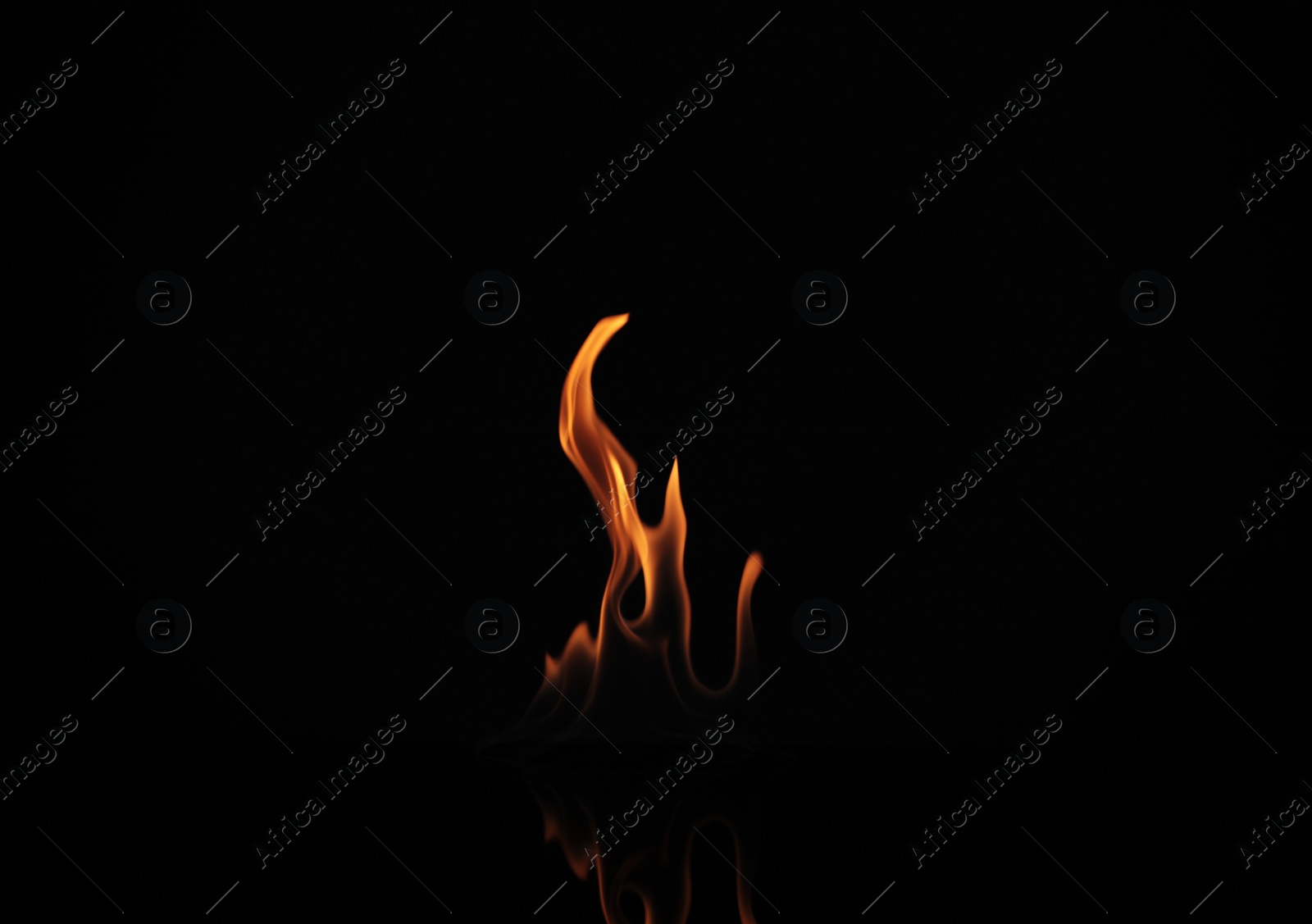 Photo of Beautiful bright fire flames on black background