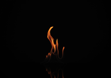 Photo of Beautiful bright fire flames on black background