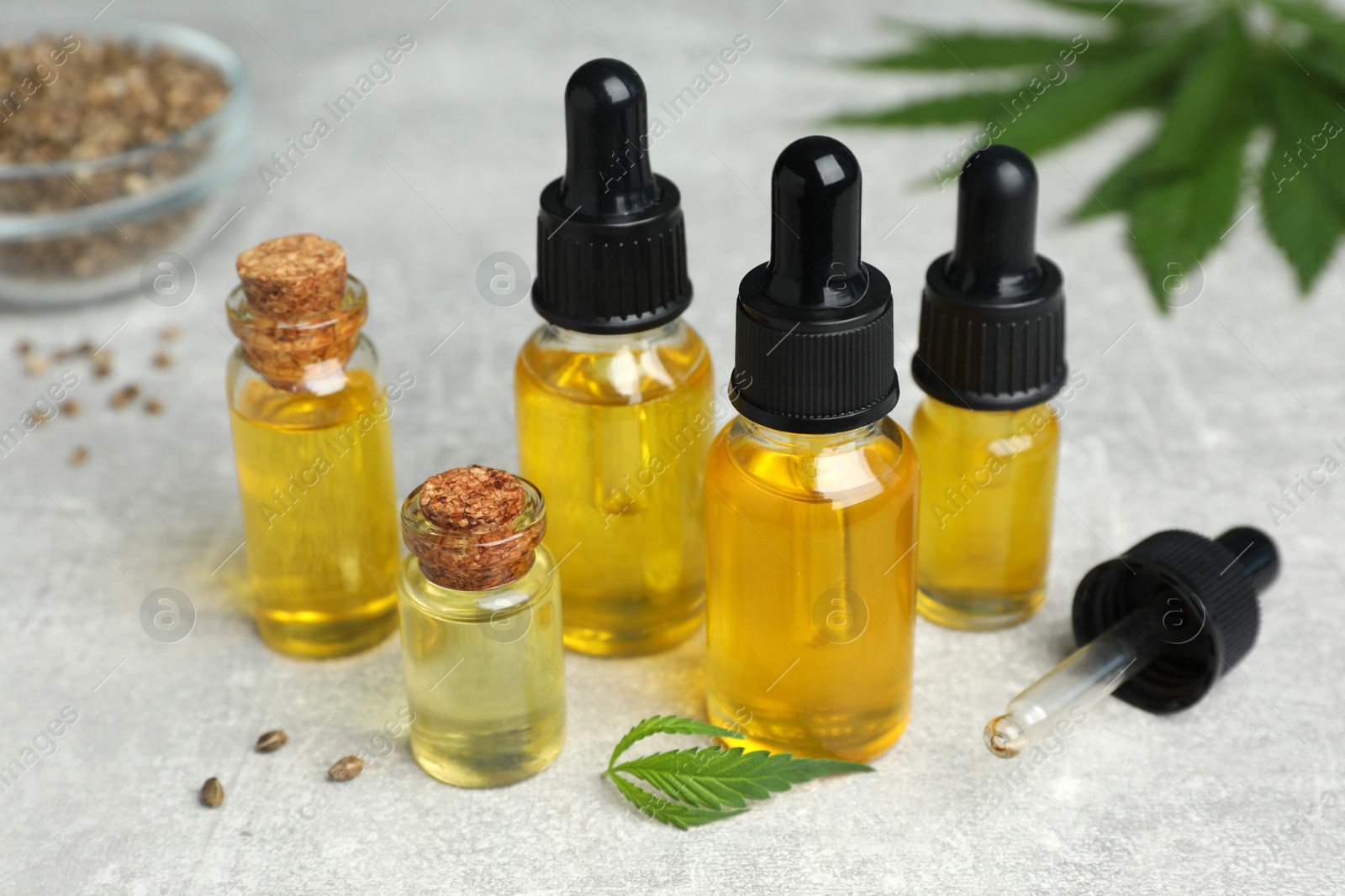 Photo of Bottles of hemp oil on light grey table, closeup