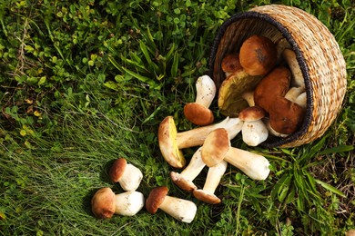 Photo of Wicker basket and fresh wild mushrooms outdoors, above view. Space for text