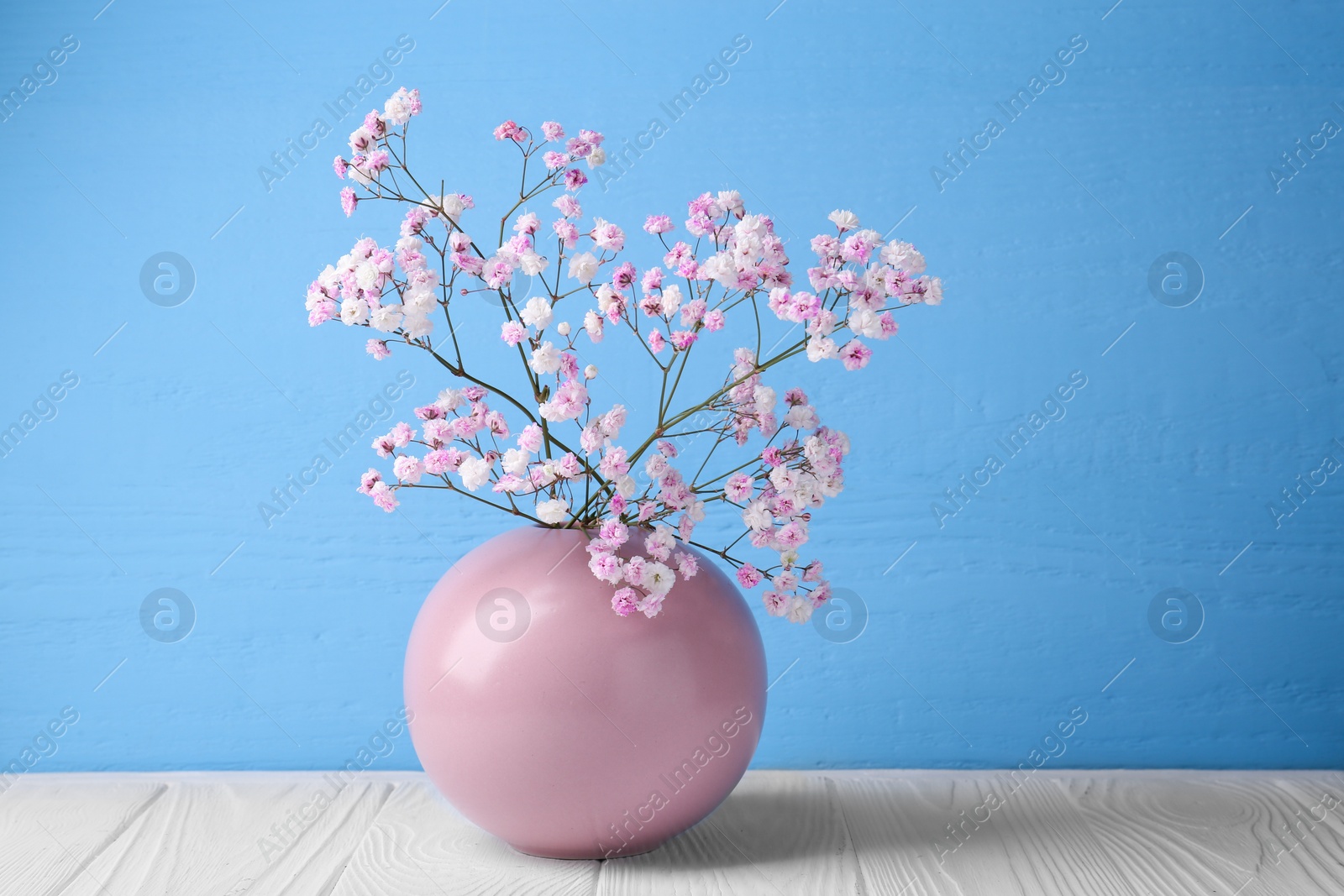 Photo of Beautiful dyed gypsophila flowers in pink vase on white wooden table against light blue background