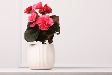 Beautiful begonia flower in pot on table near white wall, space for text