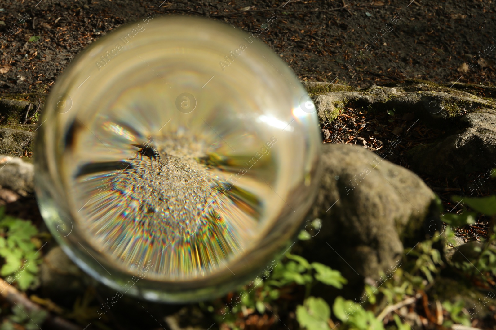 Photo of Common fly on ground, overturned reflection. Crystal ball on stone surface in forest