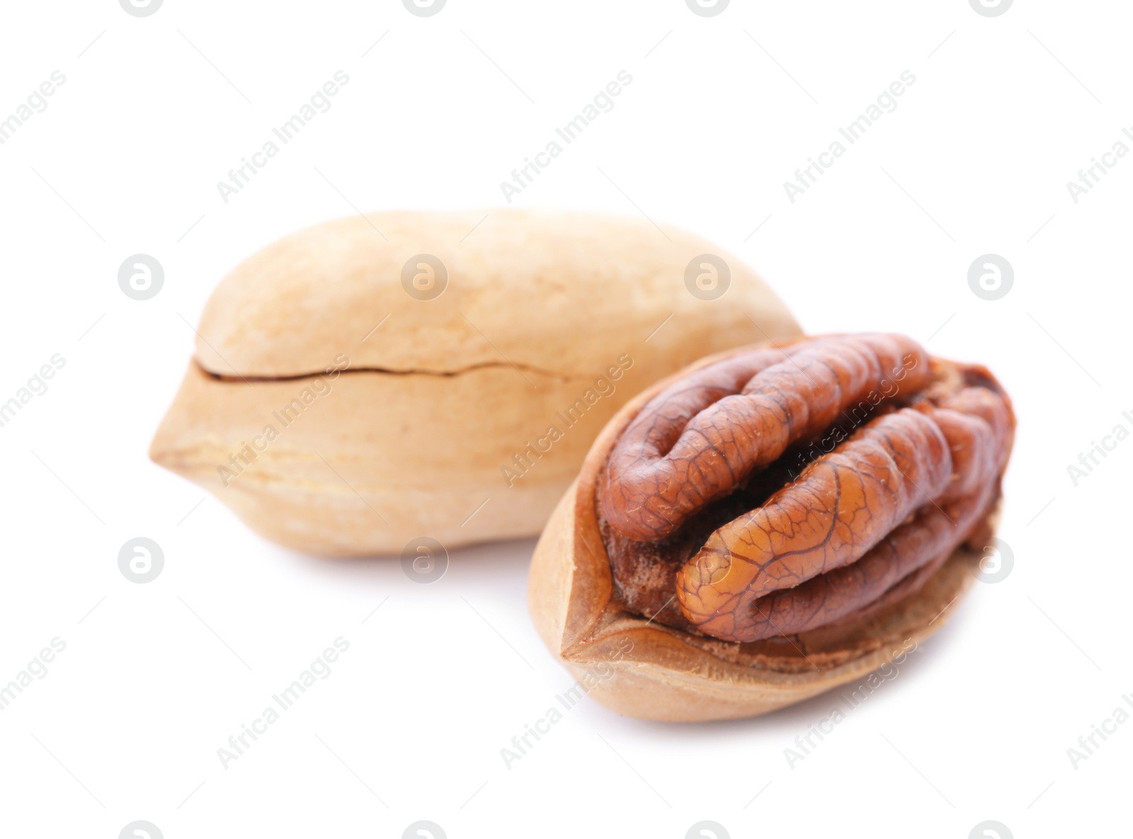 Photo of Pecan nuts on white background. Nutritive food