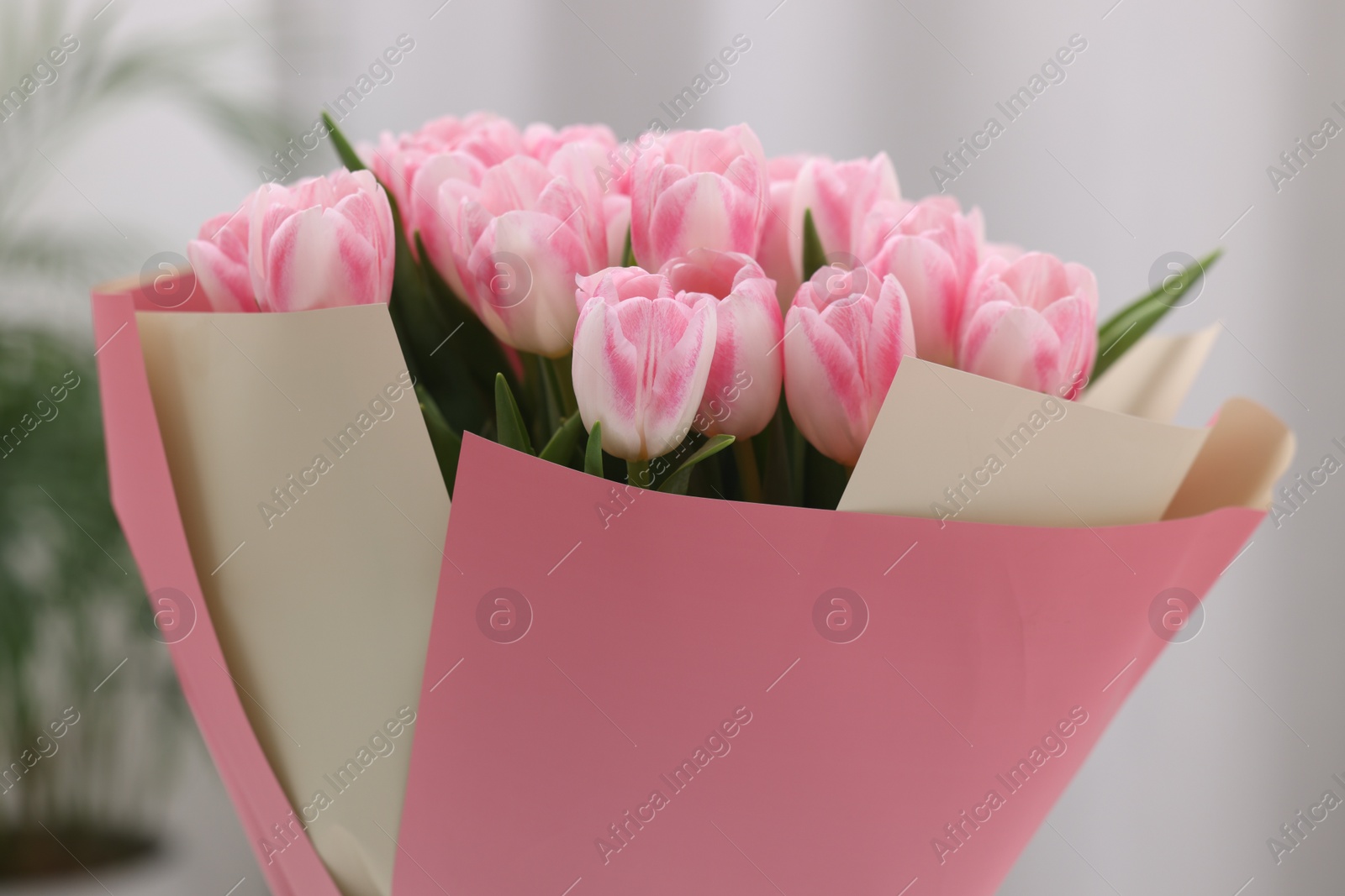 Photo of Beautiful bouquet of fresh pink tulips on blurred background, closeup