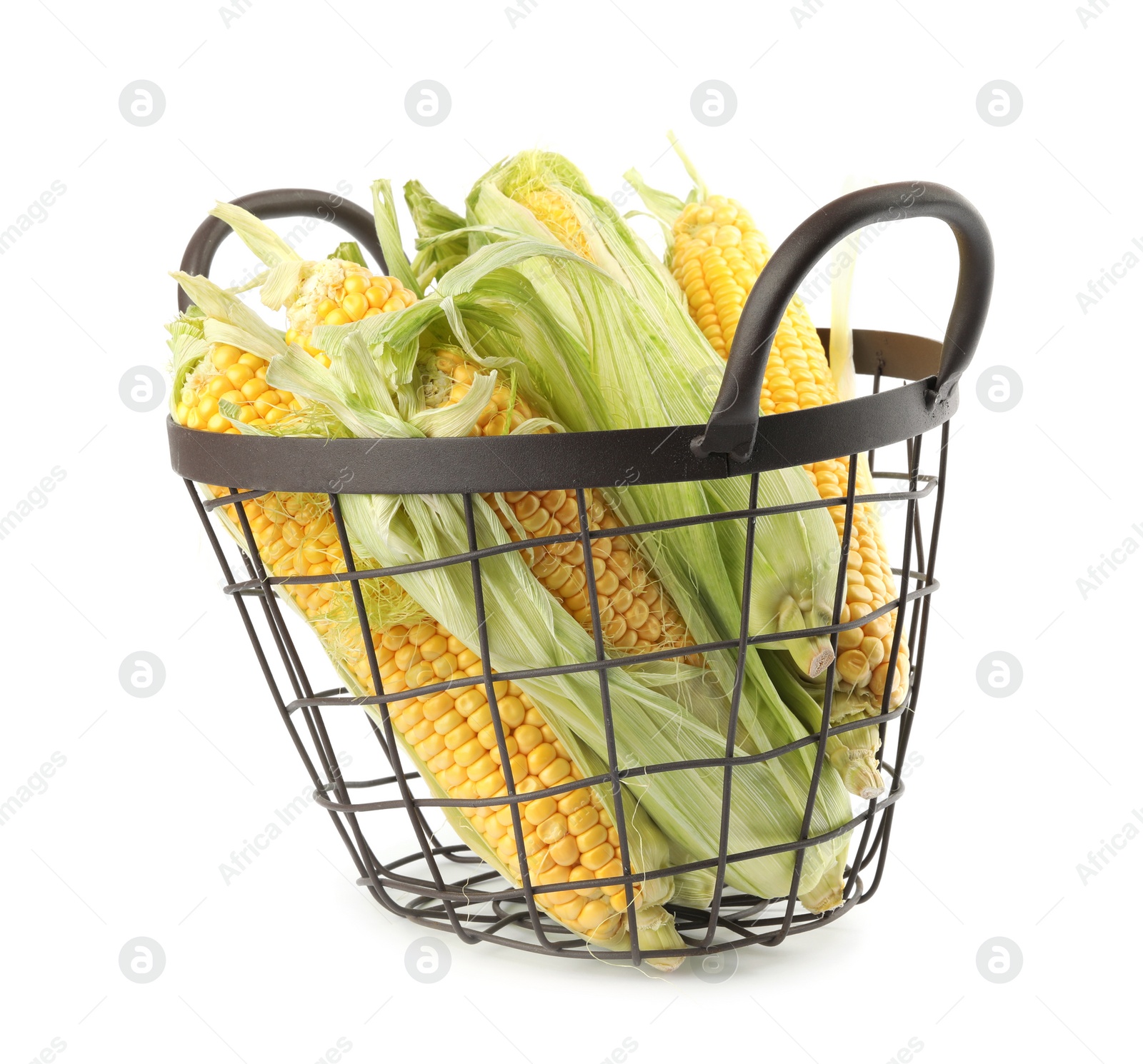 Photo of Ripe raw corn cobs in metal basket on white background