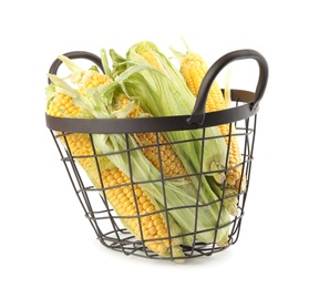 Photo of Ripe raw corn cobs in metal basket on white background