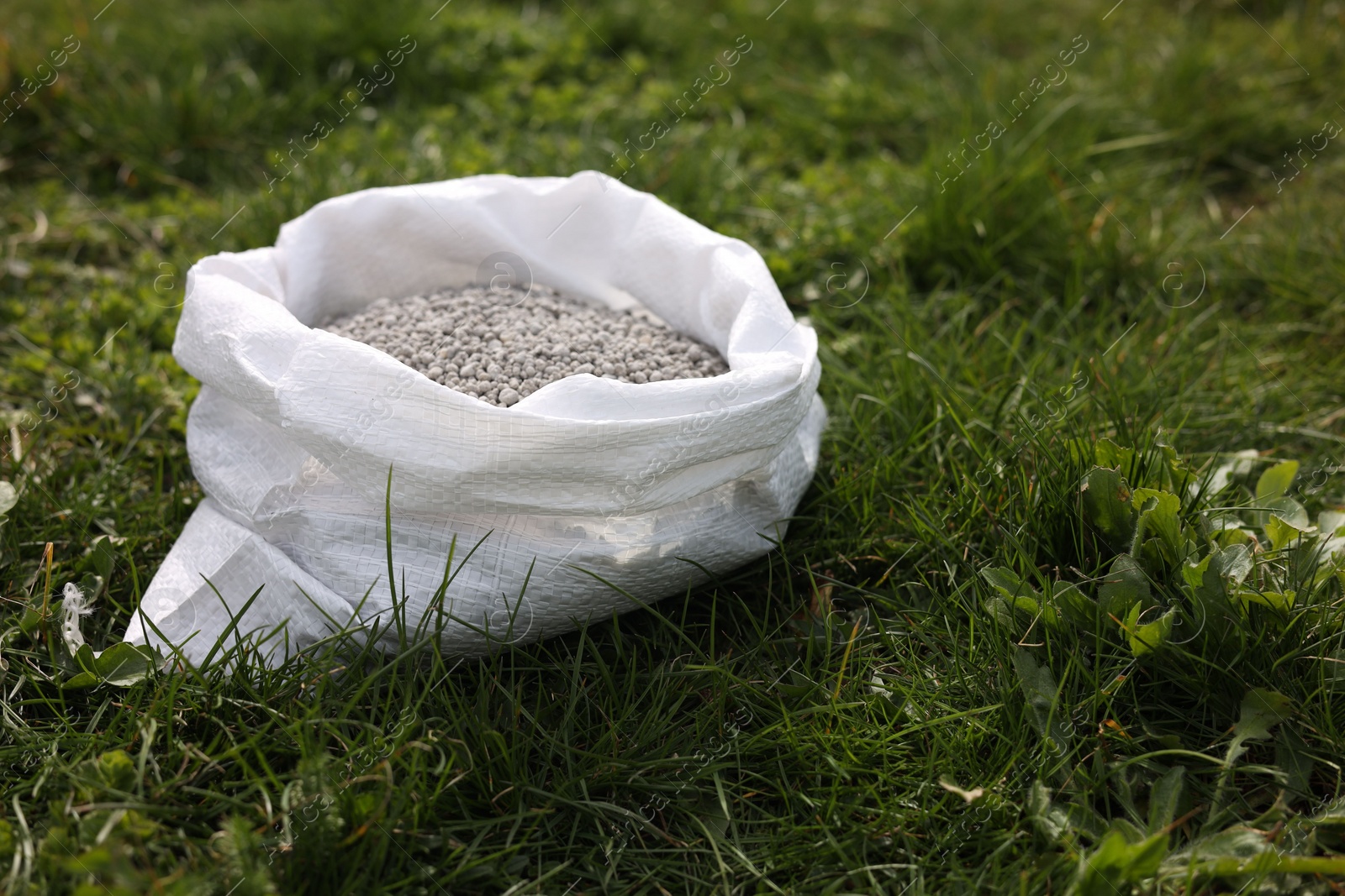 Photo of Fertilizer in bag on green grass outdoors, space for text