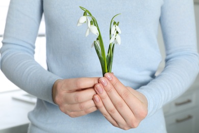Photo of Woman holding beautiful snowdrop flowers indoors, closeup. Symbol of first spring day