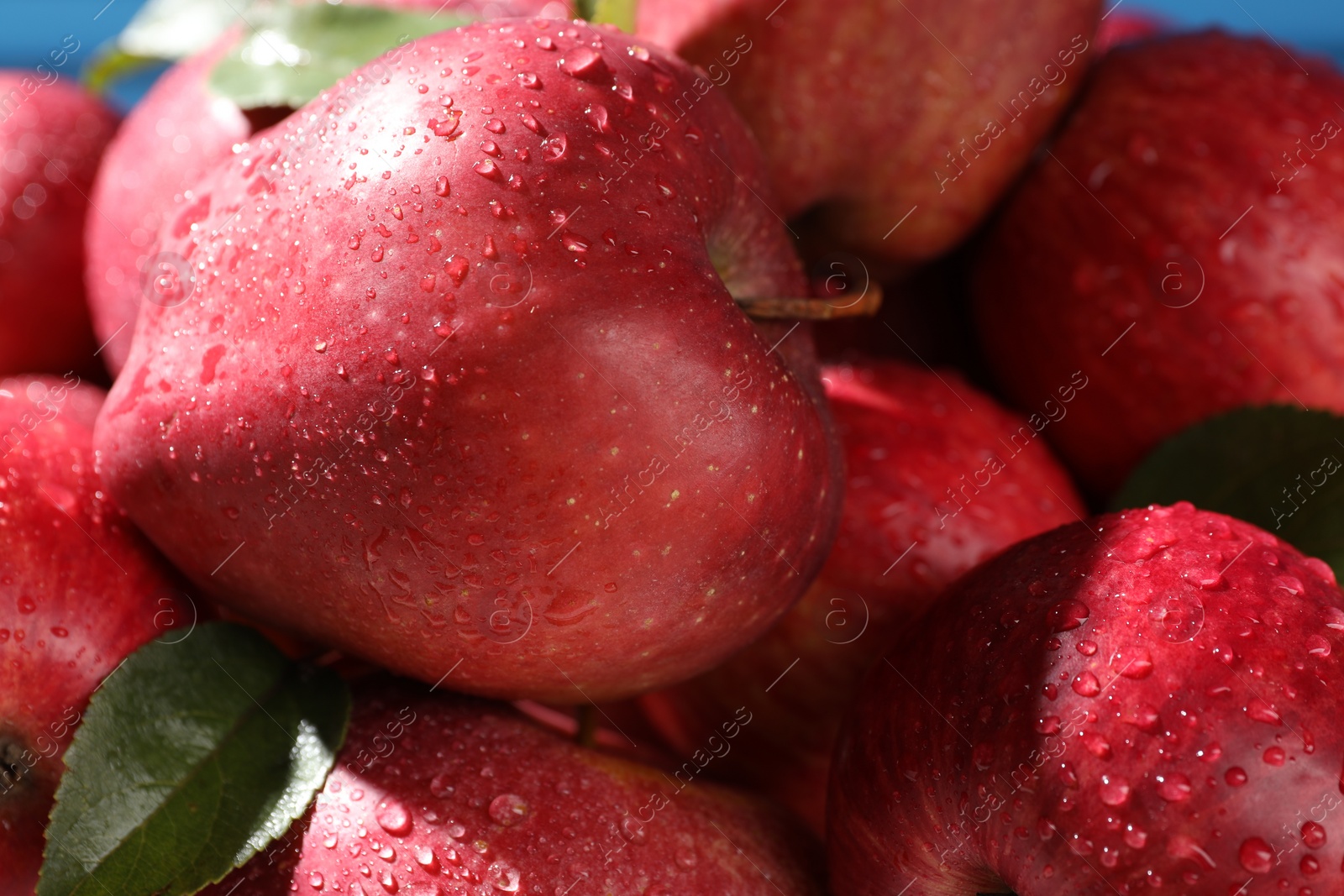 Photo of Ripe red apples with water drops and green leaves as background, closeup