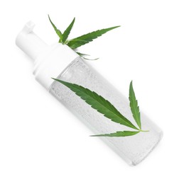Photo of Bottle of hemp cosmetics with green leaves isolated on white, top view