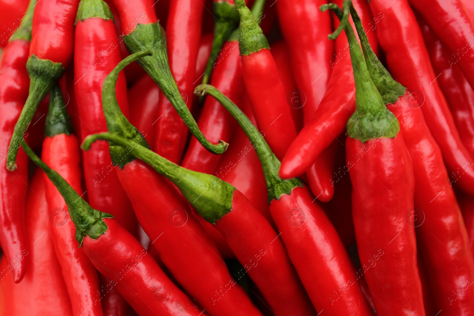 Photo of Red hot chili peppers as background, top view