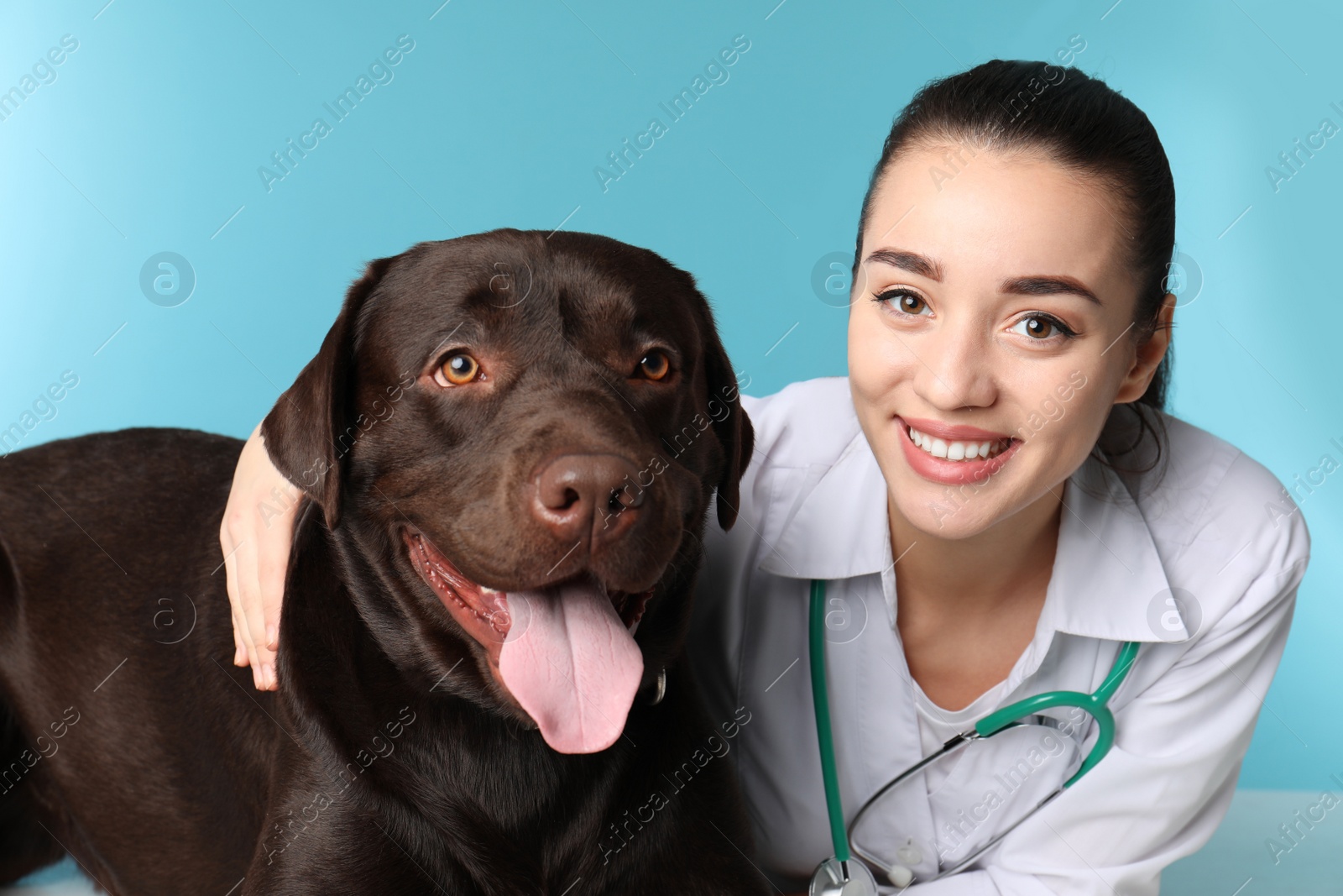 Photo of Veterinarian doc with dog on color background