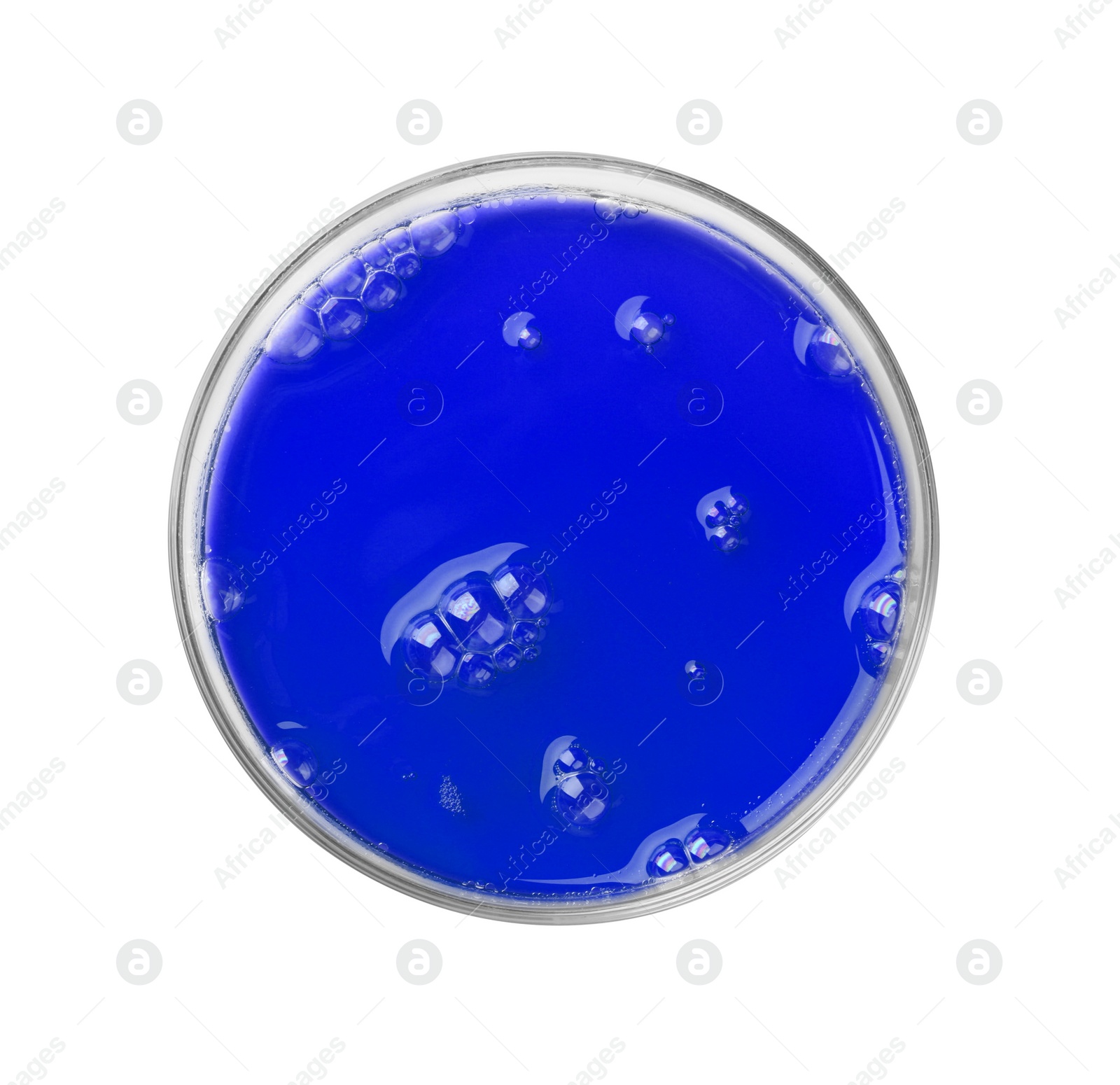 Photo of Petri dish with color liquid sample on white background, top view