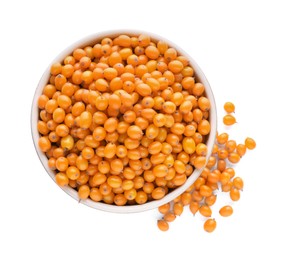 Photo of Bowl with fresh ripe sea buckthorn berries on white background, top view