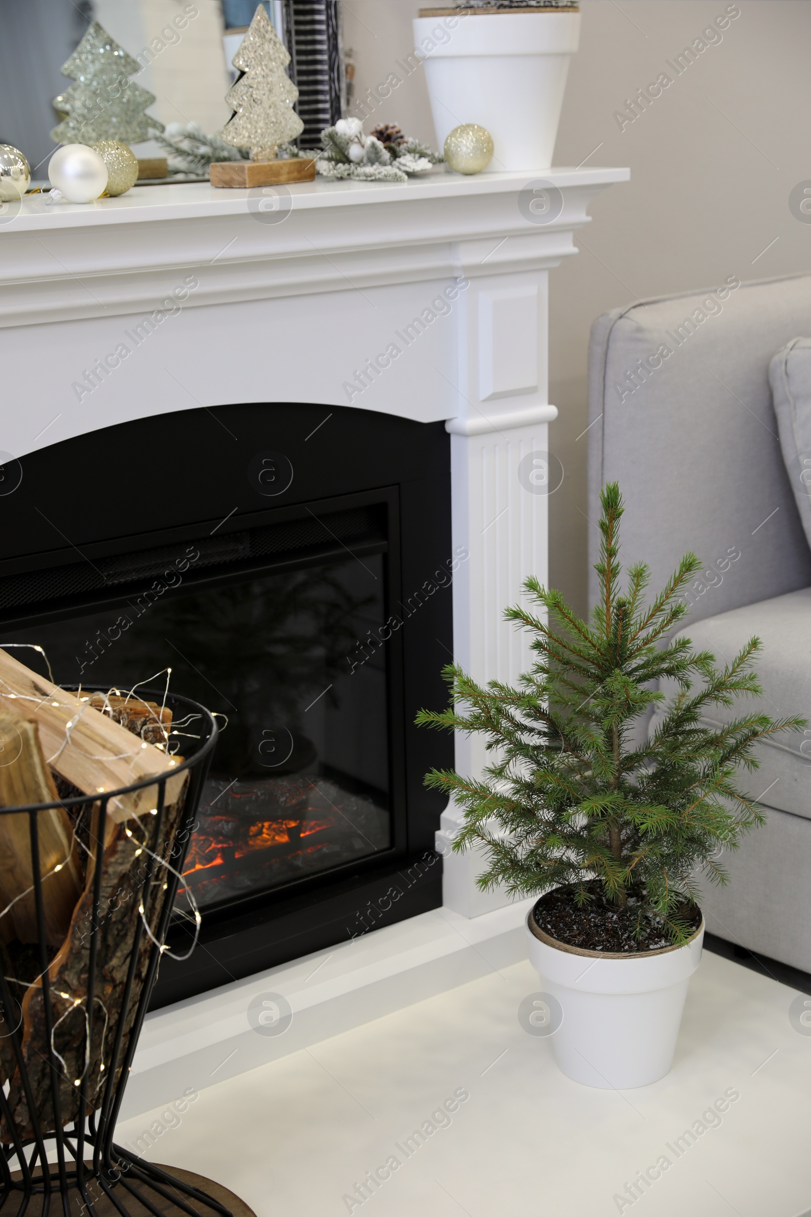 Photo of Little fir tree on floor near fireplace. Stylish interior design with Christmas decorations