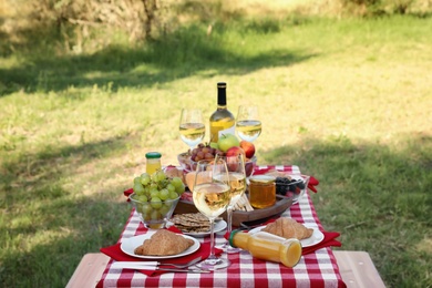 Picnic table with different tasty snacks and wine