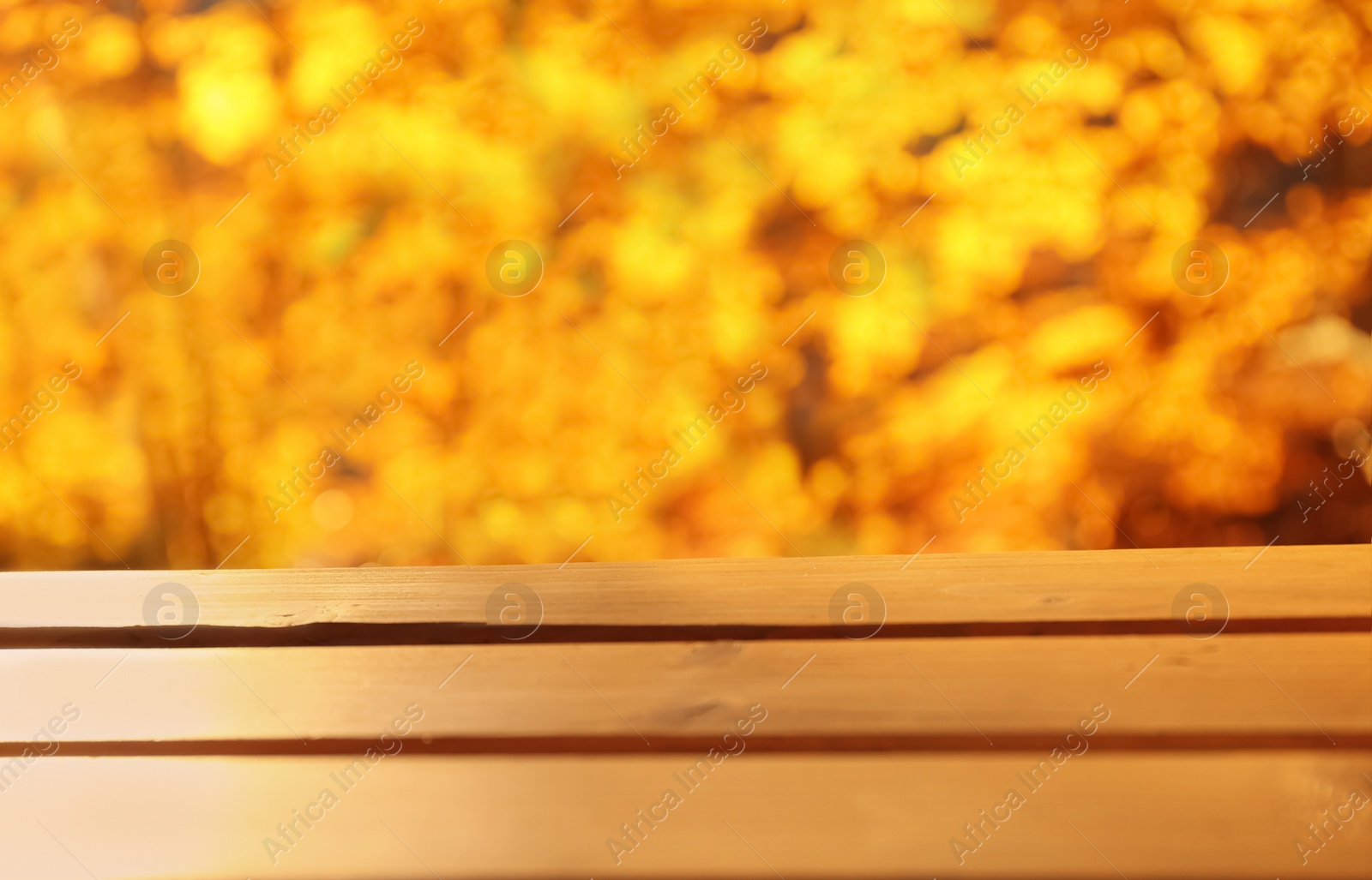 Photo of Wooden table and blurred autumn scenery on background. Space for text