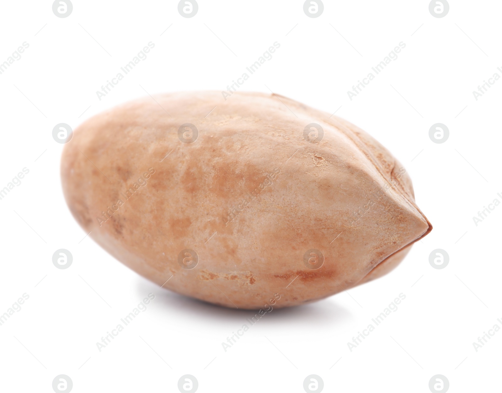 Photo of Pecan nut in shell on white background. Nutritive food