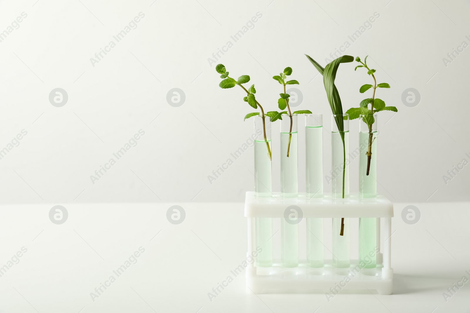 Photo of Test tubes with liquid and plants on white background. Chemistry concept