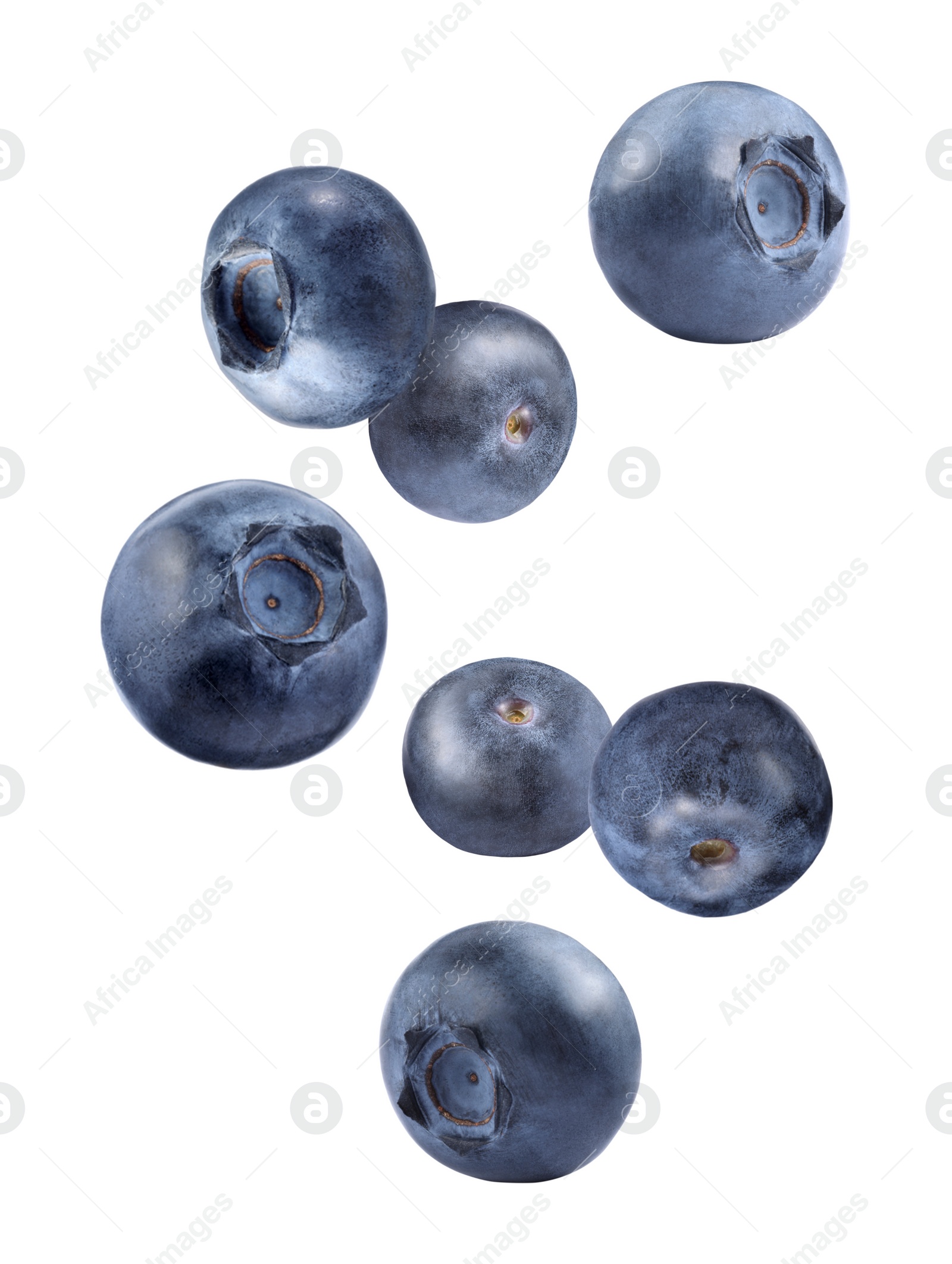 Image of Fresh ripe bilberries falling on white background