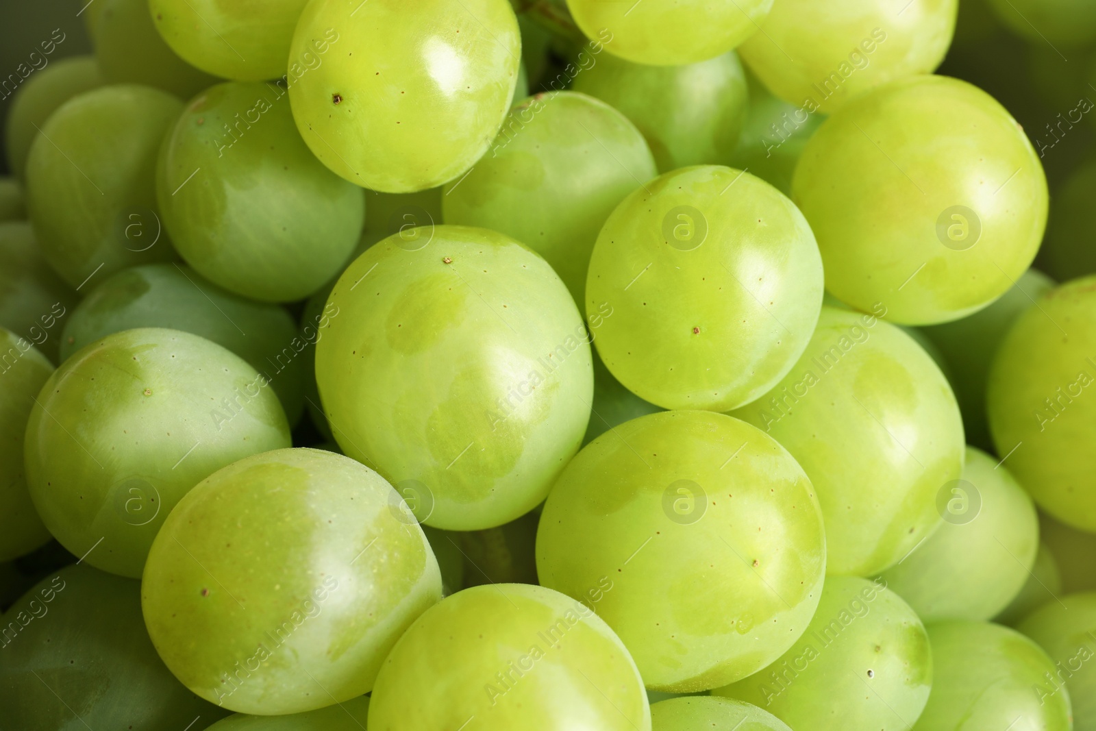 Photo of Bunch of green fresh ripe juicy grapes as background, closeup