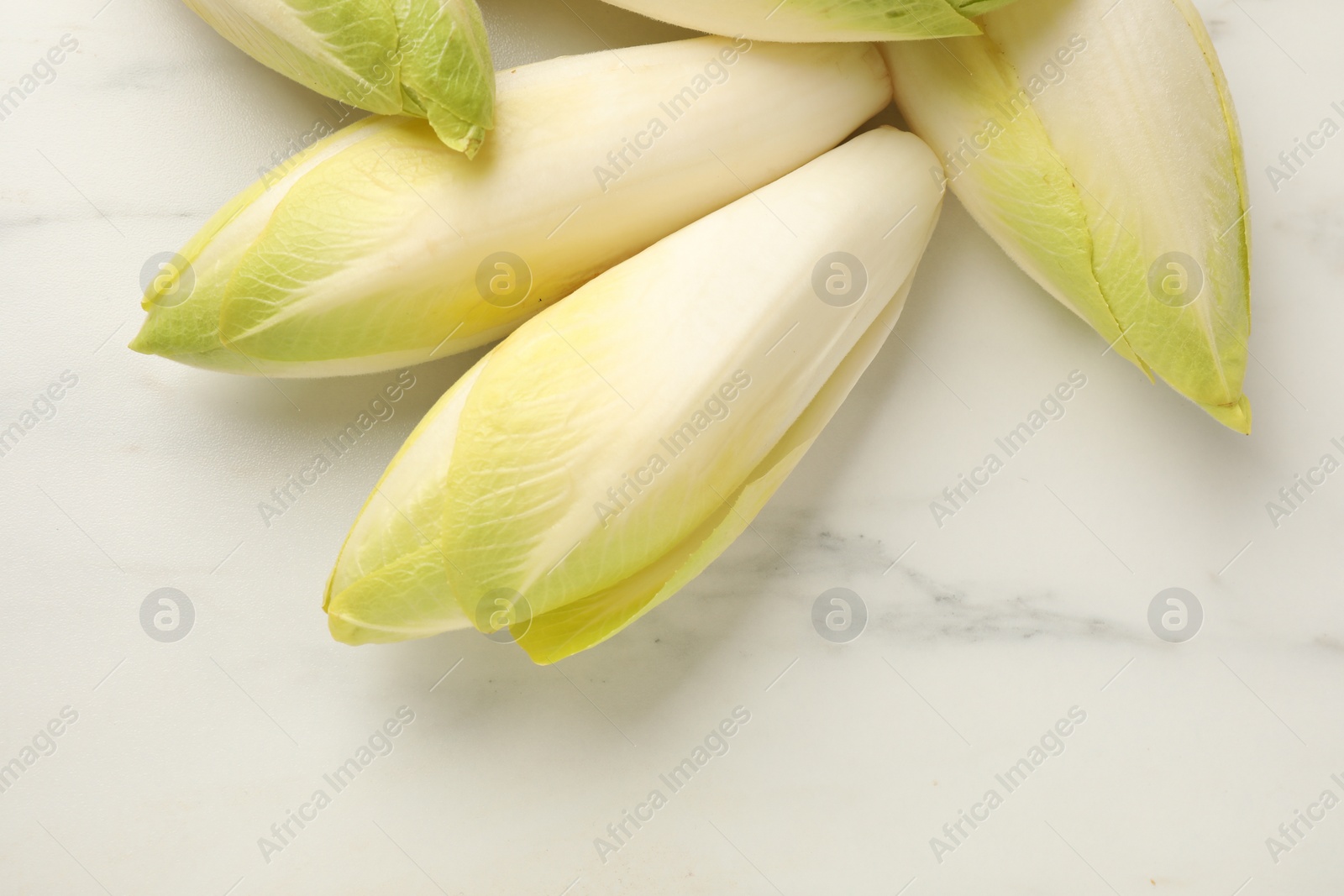 Photo of Raw ripe chicories on white marble table, top view