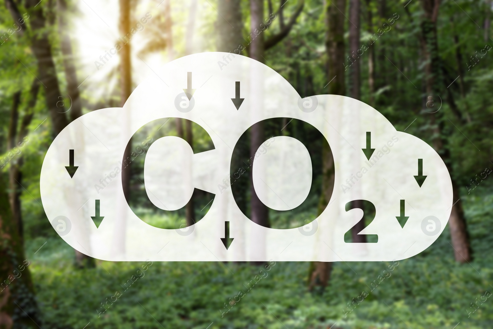 Image of Reduce CO2 emissions. Illustration of cloud with CO2 inscription, arrows and beautiful forest