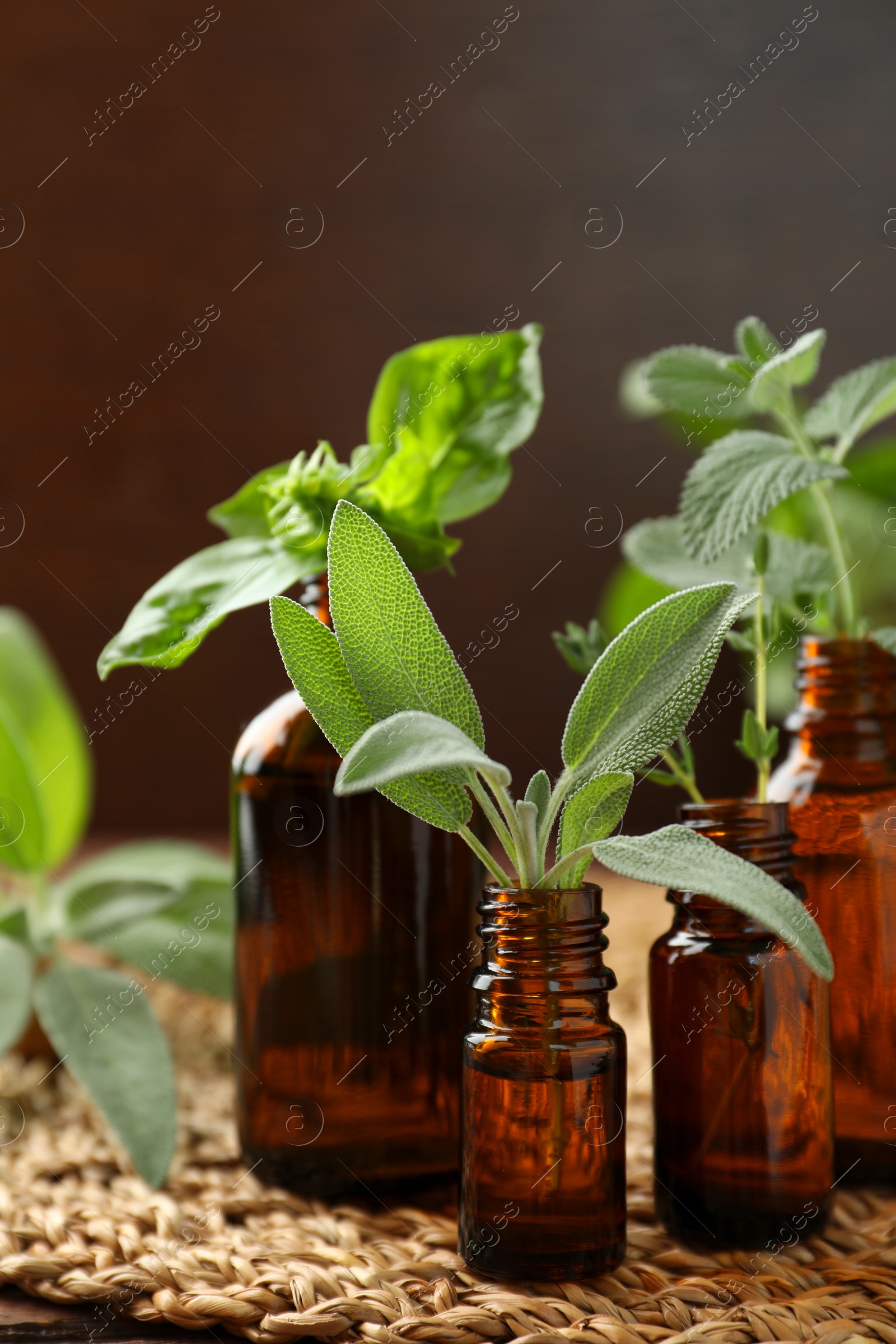 Photo of Bottles of essential oils and fresh herbs on wooden table