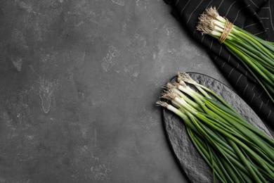 Fresh green spring onions on grey table, flat lay. Space for text