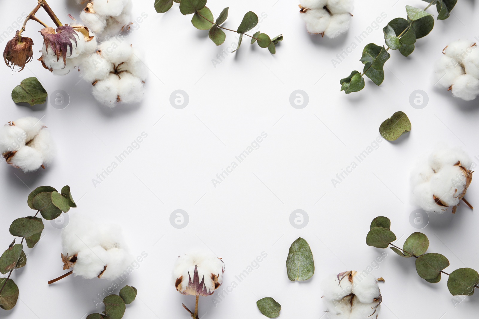 Photo of Fluffy cotton flowers and leaves on white background, flat lay. Space for text