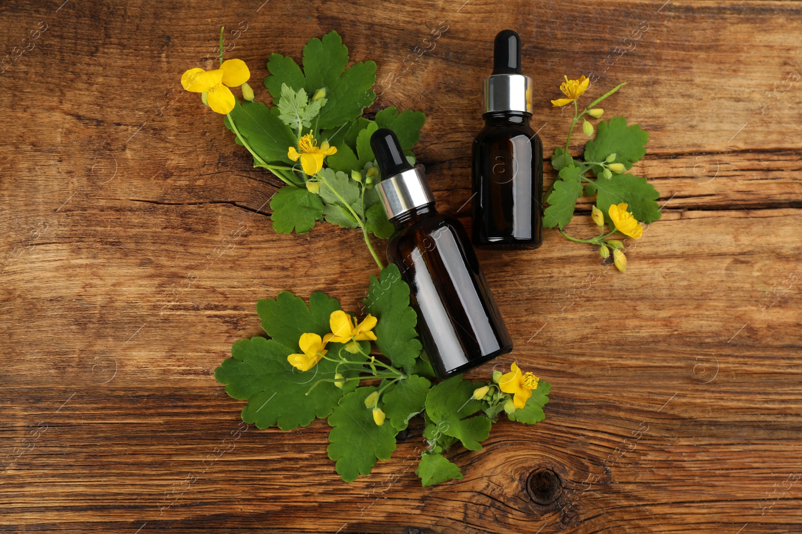 Photo of Bottles of natural celandine oil and flowers on wooden table, flat lay