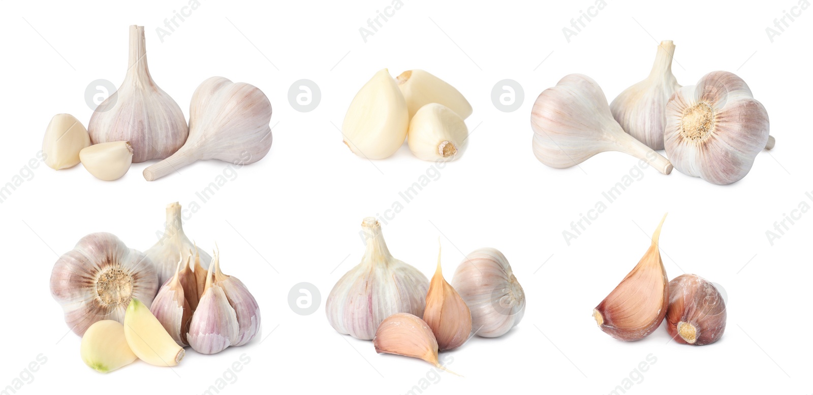 Image of Set with garlic bulbs and cloves on white background