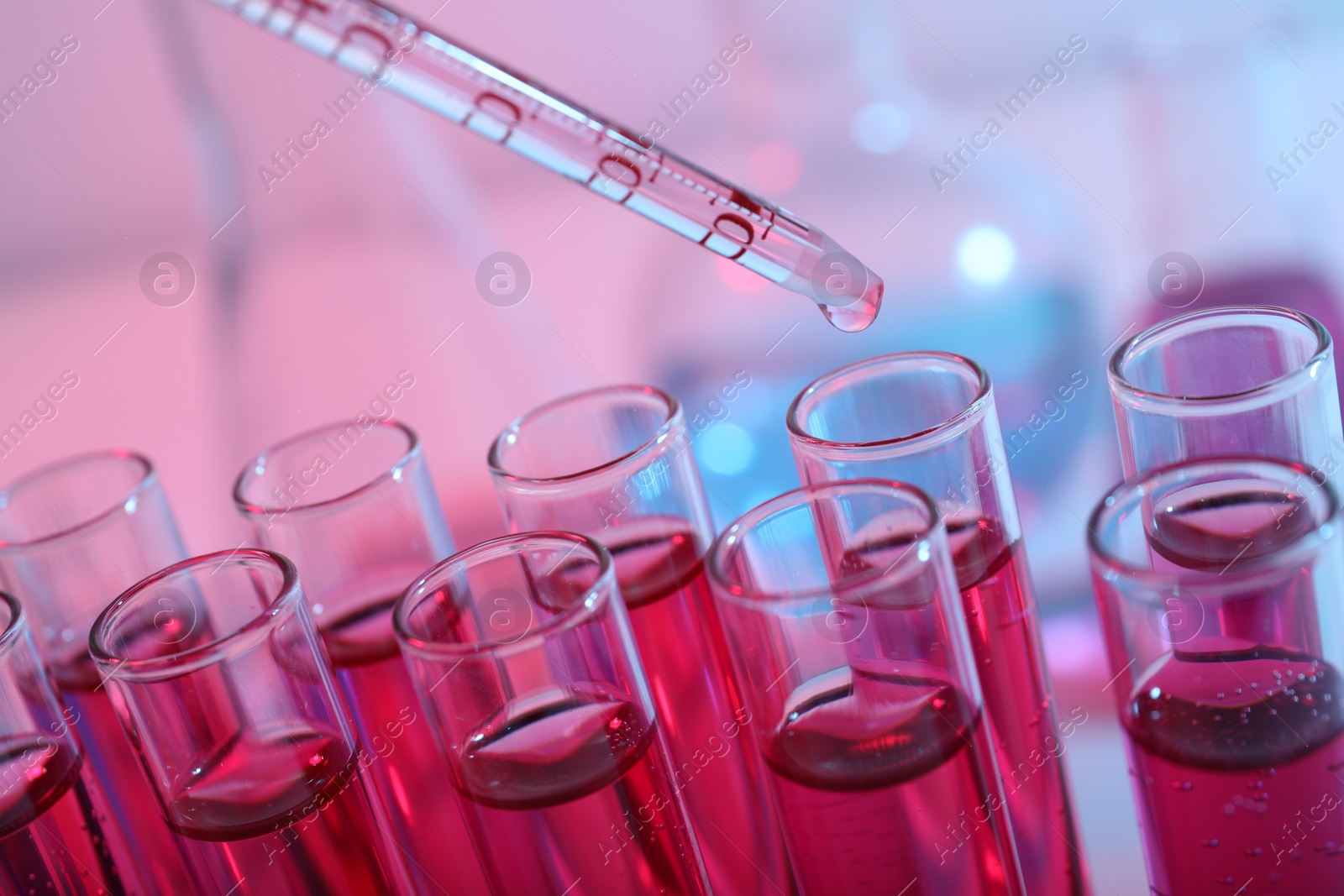 Photo of Dripping reagent into test tube with red liquid, closeup. Laboratory analysis