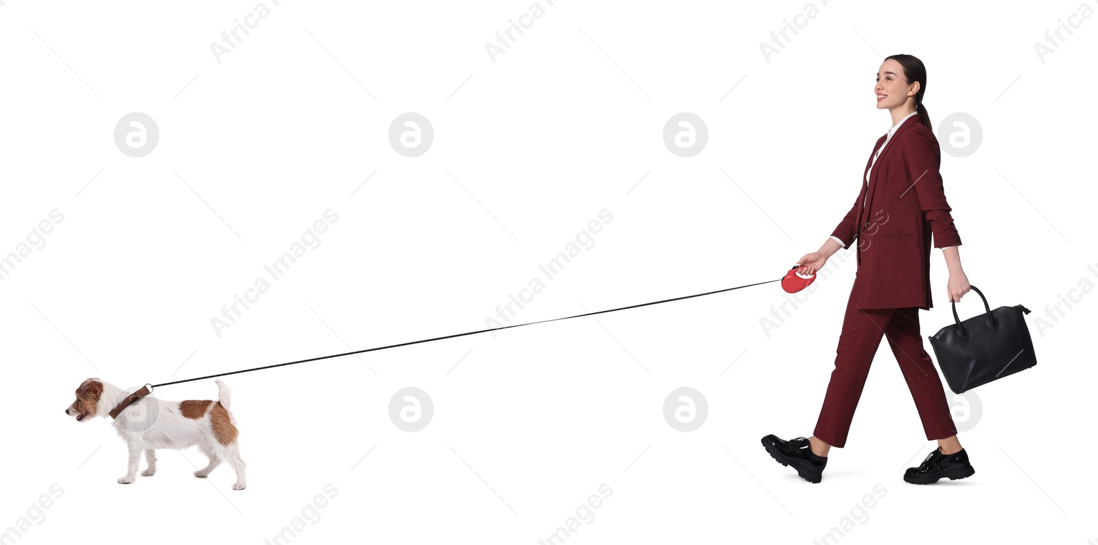 Image of Smiling businesswoman walking with dog on white background