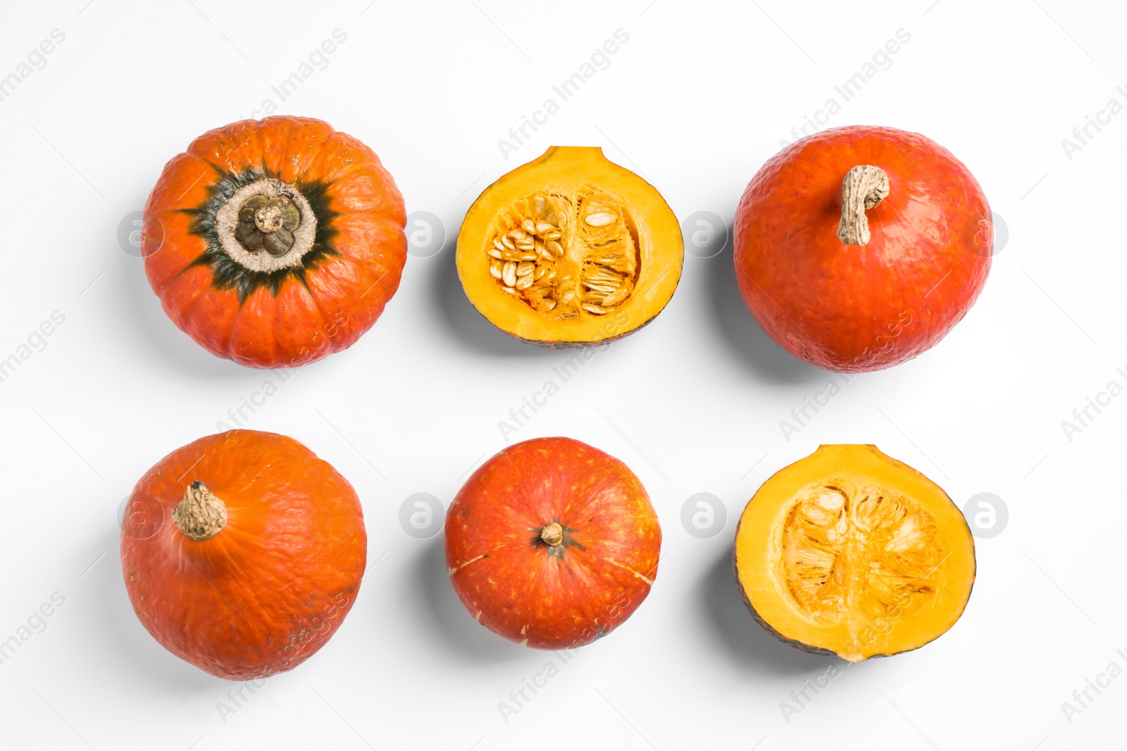 Photo of Fresh ripe pumpkins on white background, top view. Holiday decoration