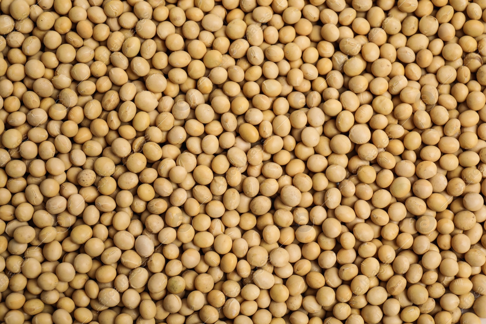 Photo of Heap of soya beans as background, top view. Veggie seeds