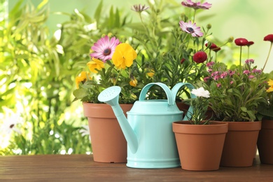 Photo of Potted blooming flowers and watering can on wooden table, space for text. Home gardening